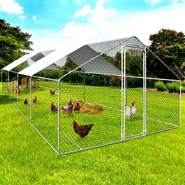 Recinto XXL per Galline – Parco da 24 m² in Acciaio Zincato con Struttura Rinforzata.