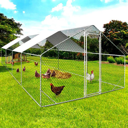 Recinto XXL per Galline – Parco da 24 m² in Acciaio Zincato con Struttura Rinforzata.